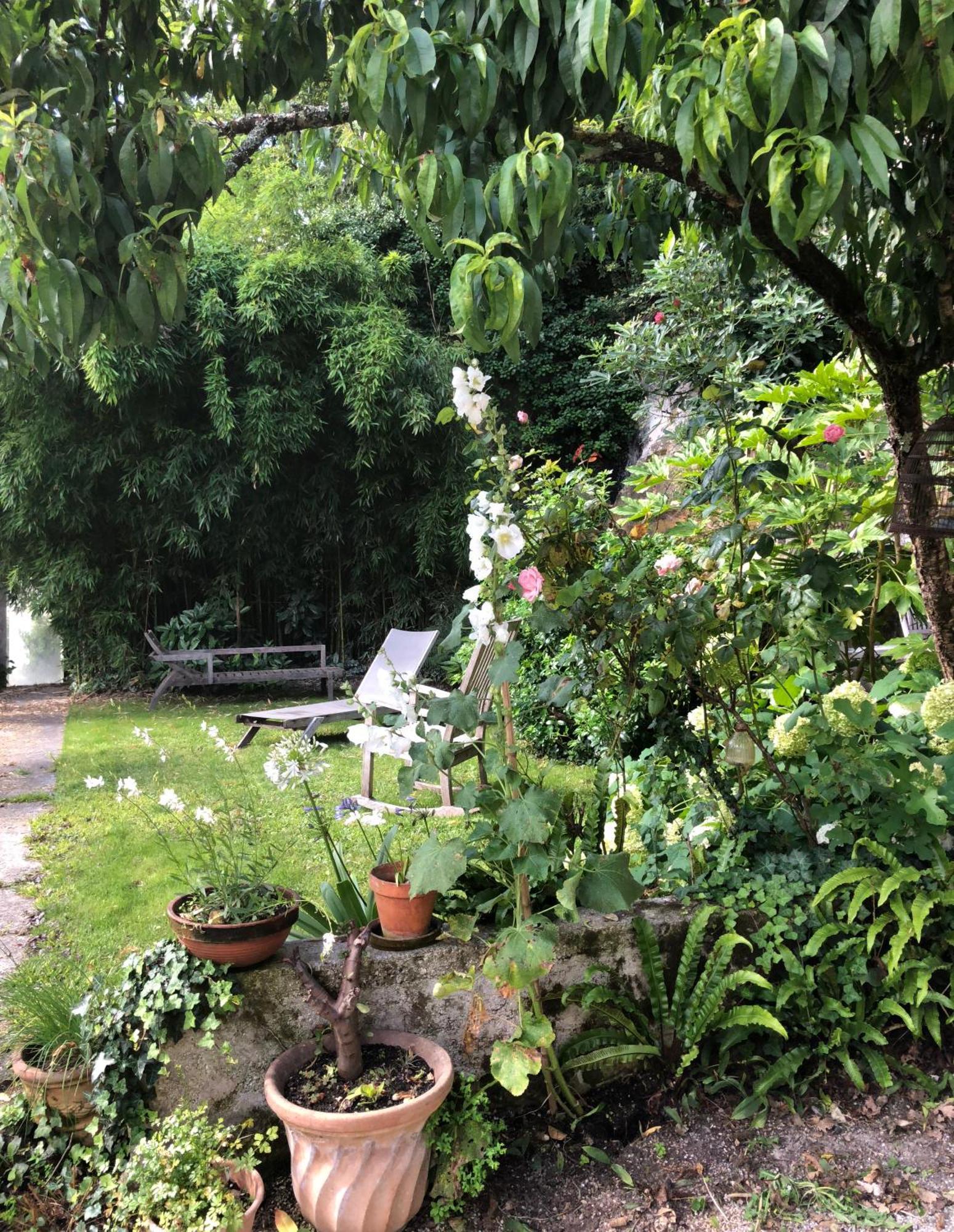 L'Heure Bleue Bed & Breakfast Saintes Exterior foto